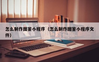 怎么制作图鉴小程序（怎么制作图鉴小程序文件）