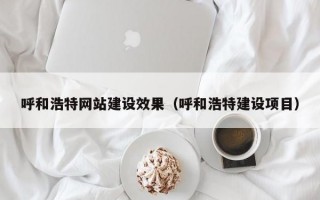 呼和浩特网站建设效果（呼和浩特建设项目）
