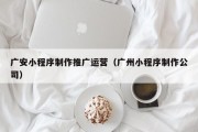 广安小程序制作推广运营（广州小程序制作公司）