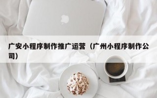 广安小程序制作推广运营（广州小程序制作公司）