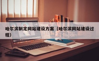 哈尔滨制定网站建设方案（哈尔滨网站建设过程）