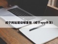 咸宁网站建设哪里做（咸宁app开发）