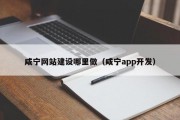 咸宁网站建设哪里做（咸宁app开发）