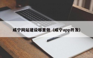 咸宁网站建设哪里做（咸宁app开发）