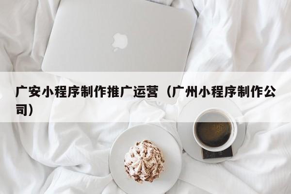 广安小程序制作推广运营(广州小程序制作公司)