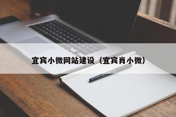 宜宾小微网站建设(宜宾肖小微)